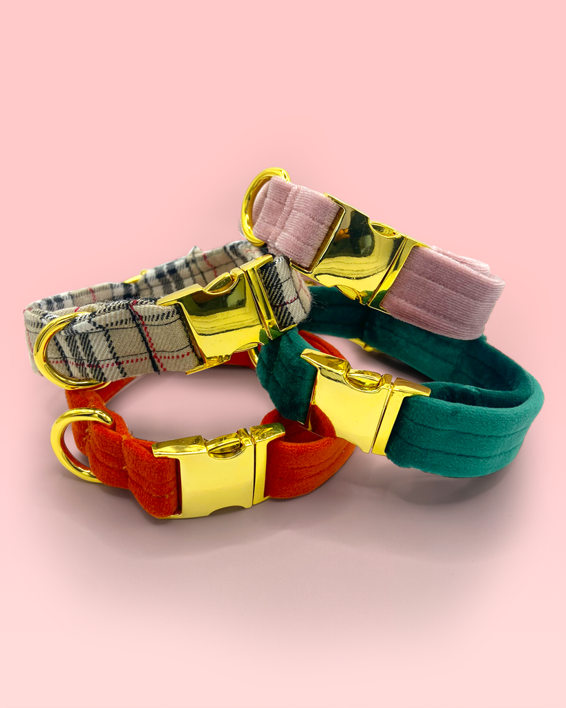 Dog Collars